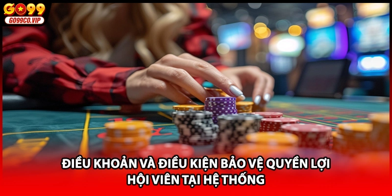 Điều khoản và điều kiện bảo vệ quyền lợi hội viên tại hệ thống