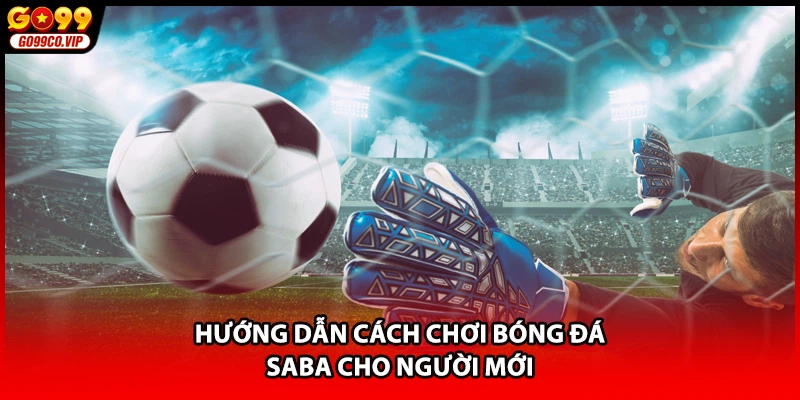 Hướng dẫn cách chơi bóng đá Saba cho người mới
